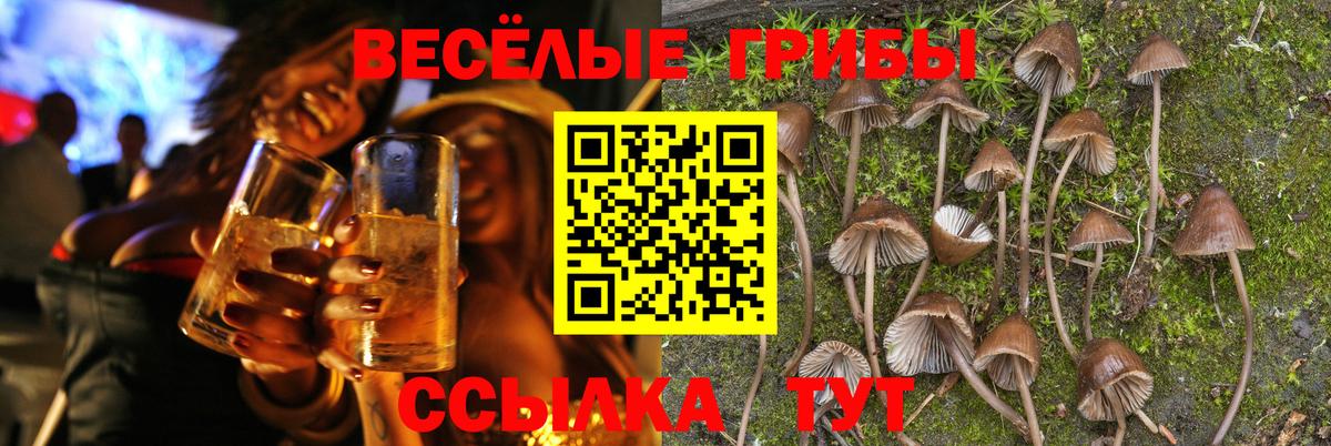 Железногорск  Псилоцибиновые грибы Psilocybe  Псилоцибиновые грибы Psilocybine cubensis  Вход с VPN 